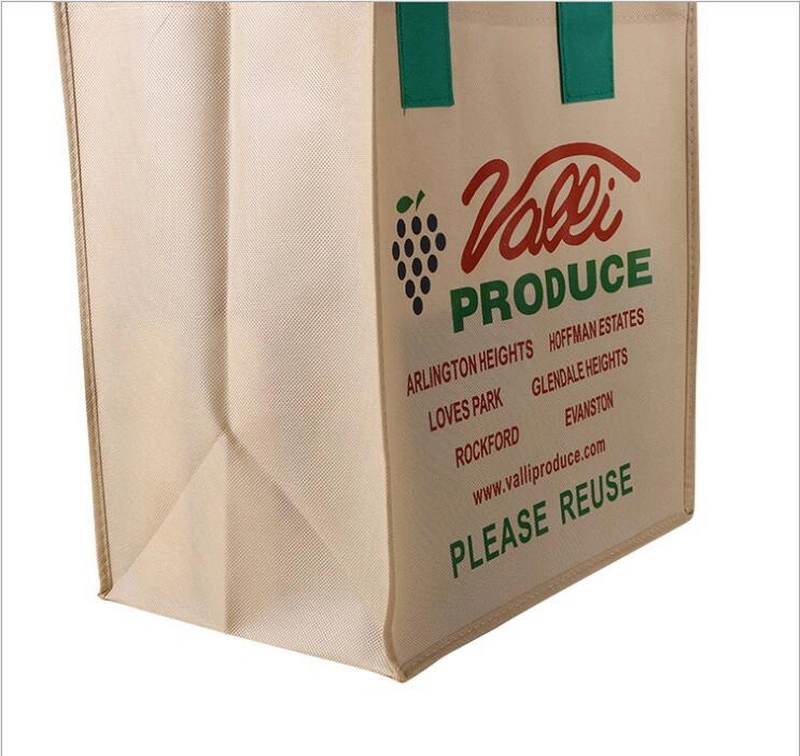 Non-Woven Material Eco Non Woven Shopping Bag with Handle