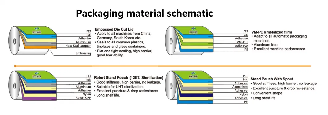 Customized Printing Stand up Pouch with Spout Liquid Packaging Bag Detergent Bag